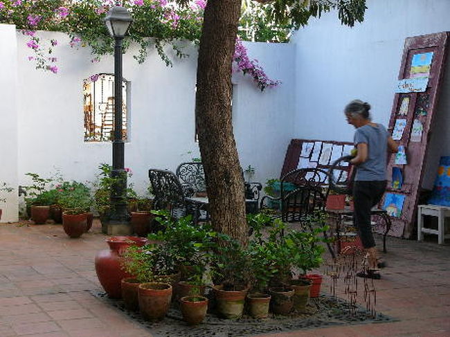 <br />お店の中庭。<br />ニカラグア特有の果物やハゴロモジャスミンの苗が売られています。