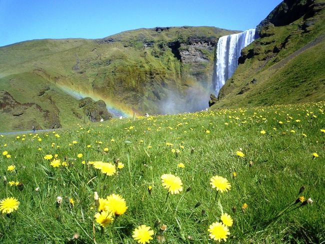 フリースを車の後方座席で乾かしながら、また一号線をひた走る。<br />おっ、大きな滝が左手に見えてきた。<br />当然左折して滝へ向かう。<br />Ｓｋｏｇａｒｆｏｓｓへ到着。<br />