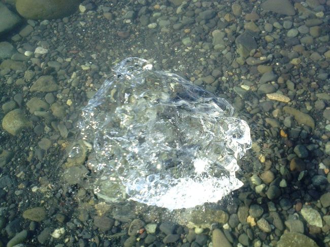 氷河の氷ってめちゃくちゃ透明なのです。<br />とりあえず、その場で浮いて陸の方に漂着している氷をＧｅｔする。<br />「さっき、この水の中をアザラシが泳いでたよな〜」と思いながらも、アザラシが泳いでいた水に浮かんでいる氷をそのままカジカジ。<br />う〜ん♪千年以上前の味がするわ〜(^0^)