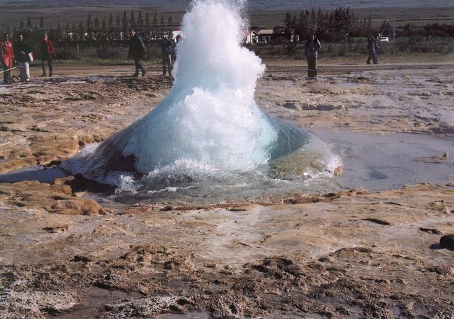 ?盛り上がった真ん中が割れるようにして上へ噴出す。