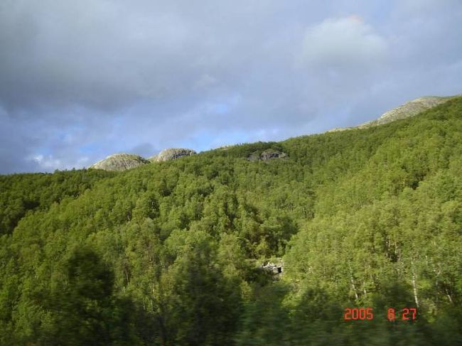 オスロ〜ソグネフィヨルド地区のフロムに向けて、３３０ｋｍのバスドライブの途中で車窓より。2005.8.26 