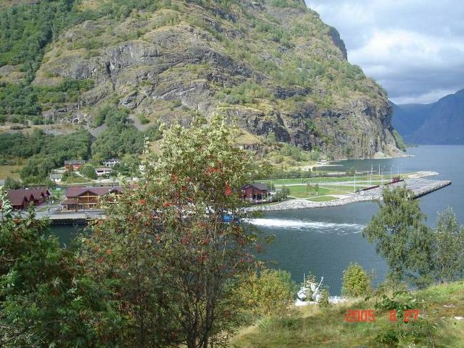 自由時間は、フレットホテル裏山を散策。フロム港とナナカマドの木を見下ろして。2005.8.27