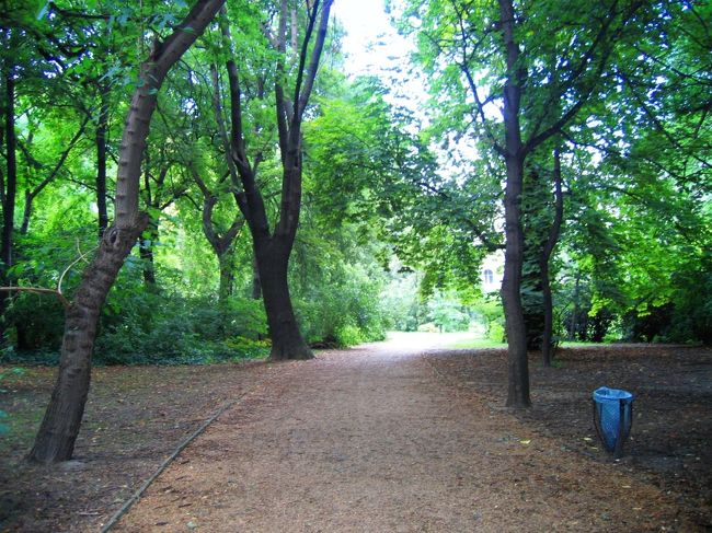 マルギット島の小道<br /><br />A path in Margitsziget