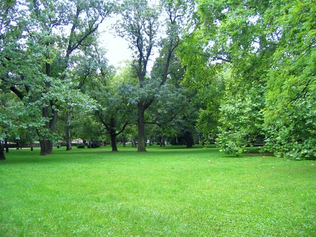 マルギット島の野原<br /><br />A meadow in Margitsziget