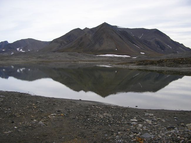 そこらをハイクといっても場所が場所ですから、そりゃーもう素晴らしいです。わずかの草と苔鹿生えない世界ですから。