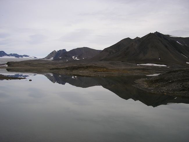これらは早朝（夜中）の写真。