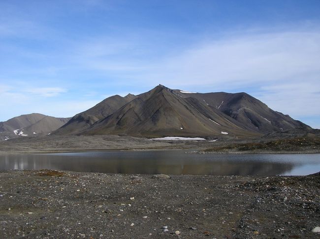 朝は晴れ！でも少し風が吹いてます。