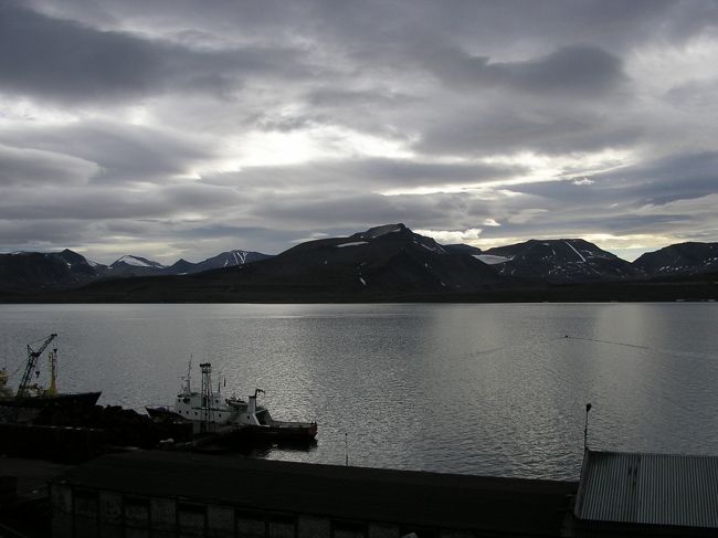 フィヨルドではミンククジラが捕食していました。