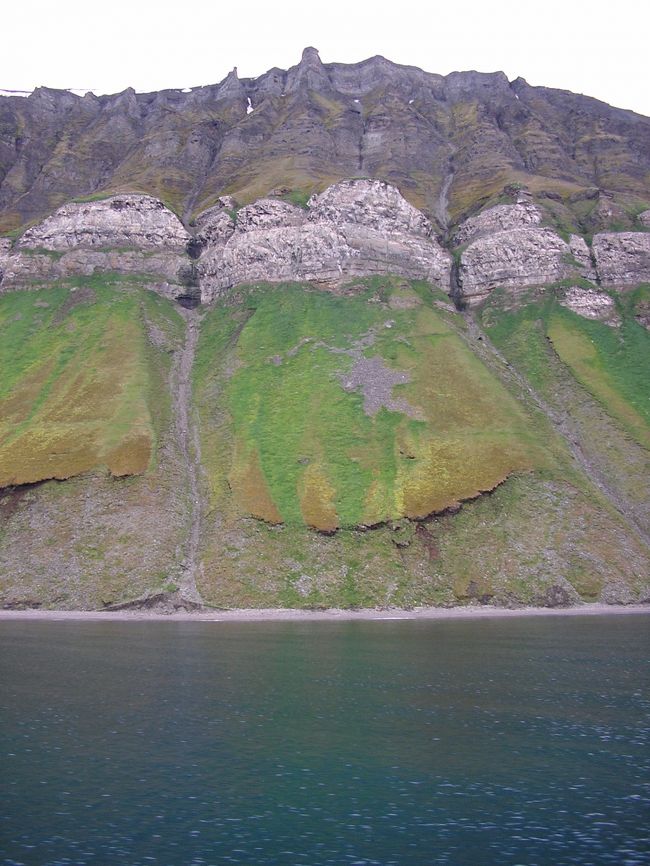 海鳥が巣をつくりその糞を栄養に苔が生えるためここだけが緑色です。<br />総括：Wild Campではまさに非現実の世界に浸ることができます。もし参加される方がいるなら寒さ対策だけはけっして忘れないように。