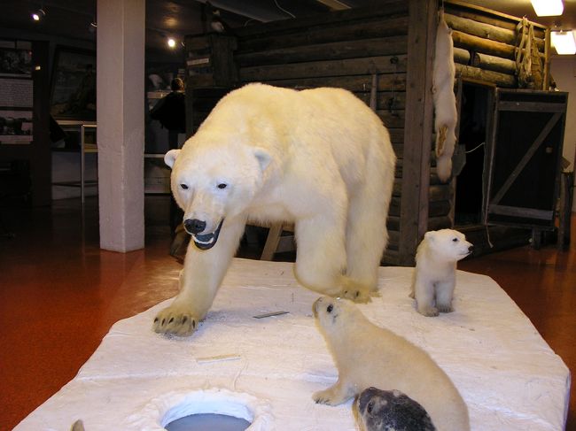 表紙の写真もそうですが、博物館内の剥製。セイウチは行くところに行けば見れるらしいです。