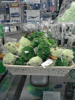 さあ、旅のスタート！今年２月に開港したばかりの中部国際空港セントレアより出発します。<br />空港内売店には愛知万博の人気キャラクター・モリゾーとキッコロが山積みにされていました。