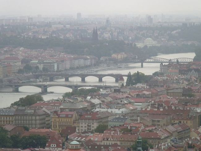 カテドラルの塔からの眺望４