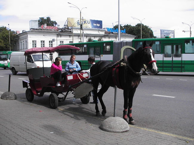 こんな乗り物もありました。乗ってないけど。