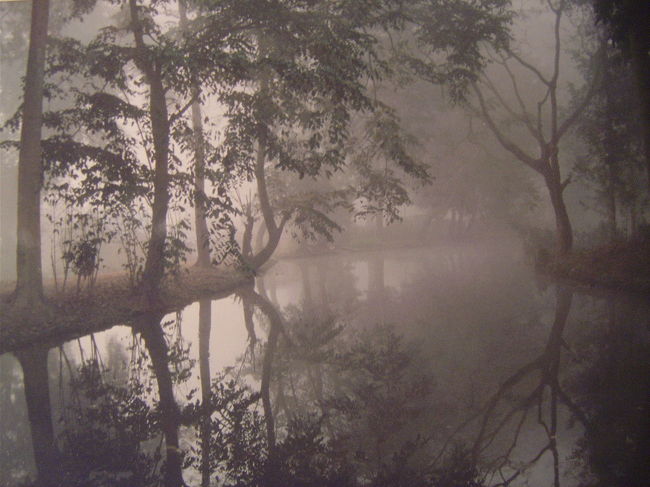 朝もやがたちこめ幻想的だ.