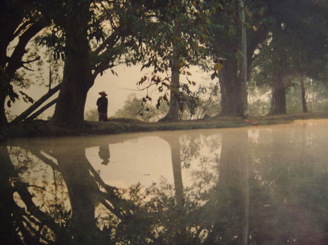 朝もやがたちこめ幻想的だ.