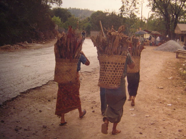 背負い籠で薪をはこぶ人達.昔の日本の田舎もこんな感じだったのでは...