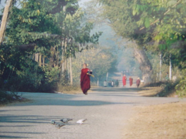 早朝の托鉢に行く小僧.日課だけに感心する,どっかの甘やかされた子供に見せてやりたい....