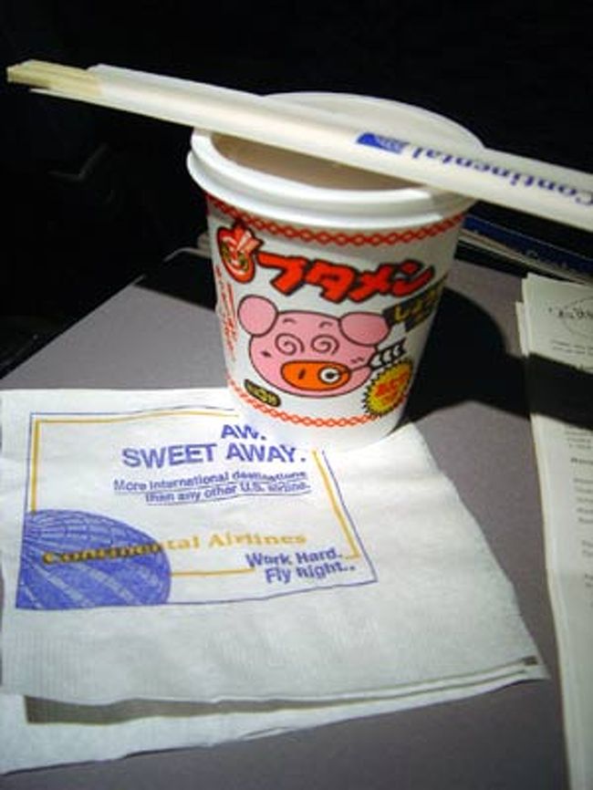 和食と洋食が微妙に混じり、最近健康食がマイブームな私にはあまり手がつけられない機内食でした。<br />昔はとにかく時差を直すために全部食べてたけど、無・・無理です。