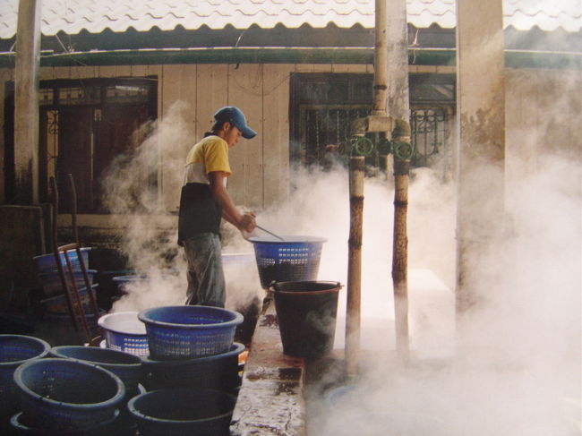 網で捕った海老を茹でている.カンボジア南部のシアヌークスビルにて.