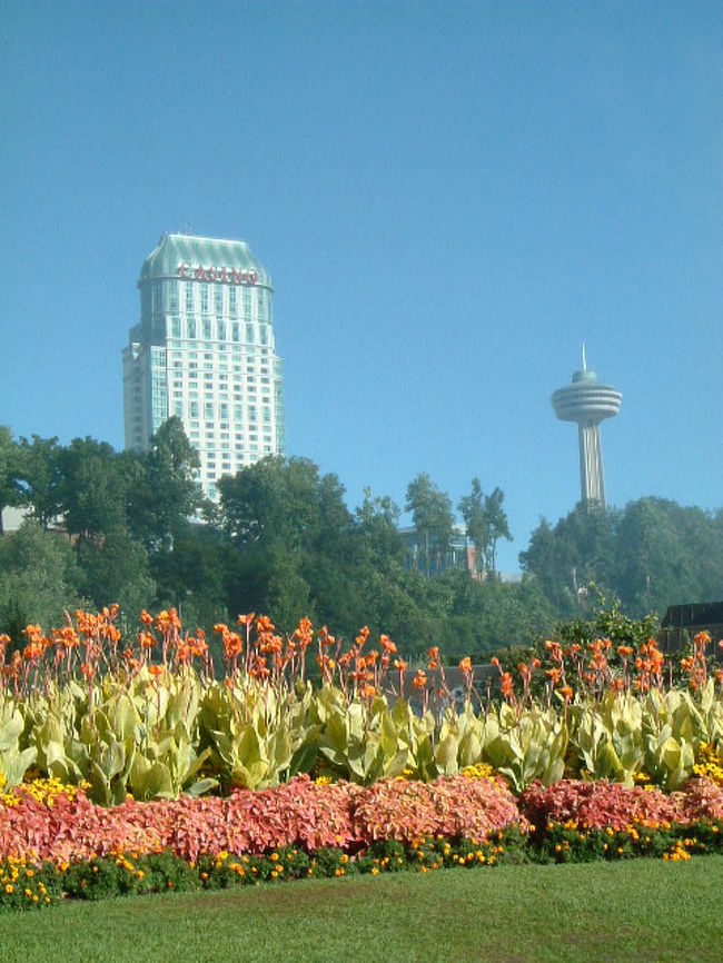 「テーブルロック｣から丘のほうを眺めて・・・<br />滝による霧のため少し煙っています。