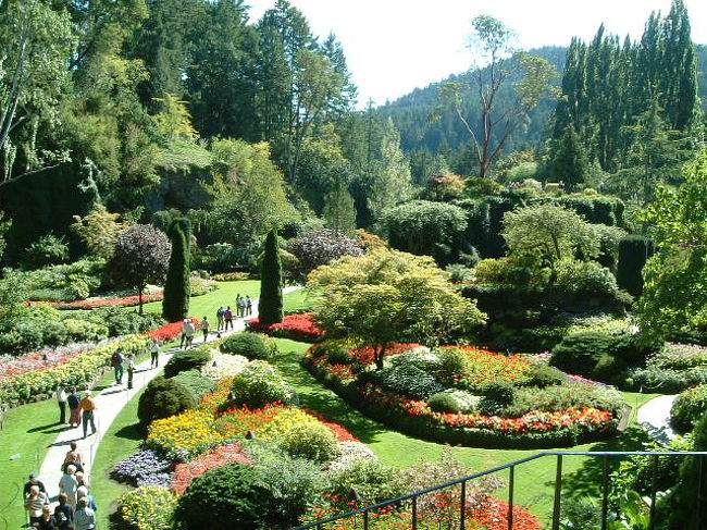 「ブッチャートガーデン｣はお花でいっぱいでした。<br />入園料はお花の数によって違うんだそうです。今は一番たくさんのお花が咲いているので一番高い時期なんですって。