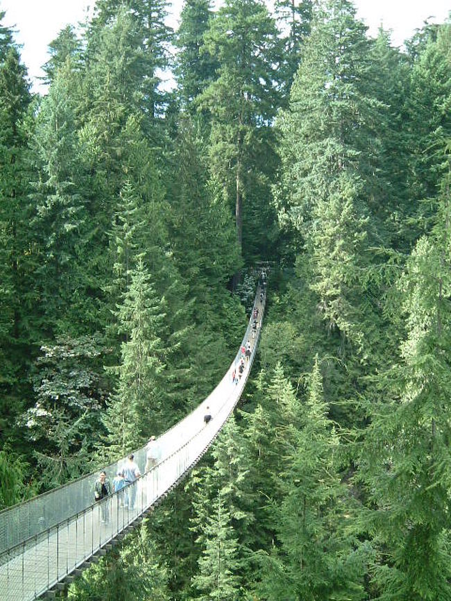 観光スポットの一つ「キャピラノ渓谷のつり橋｣怖くて渡れませんでした。