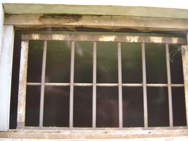 この窓から外を見つめ何を....夢想だけがこの窓から出ていった...