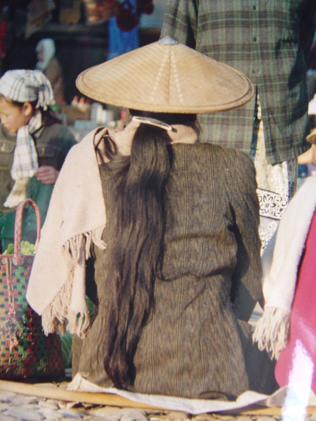 きちんと背筋を伸ばし隙の無い後ろ姿.