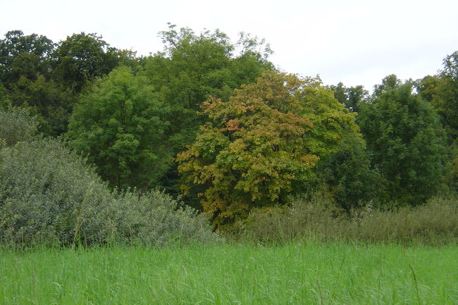 oshiro no niwa no ichibu.niwa no hirosa wa yaku 1km2 dato omou.tonikaku hiroi niwa deshita.