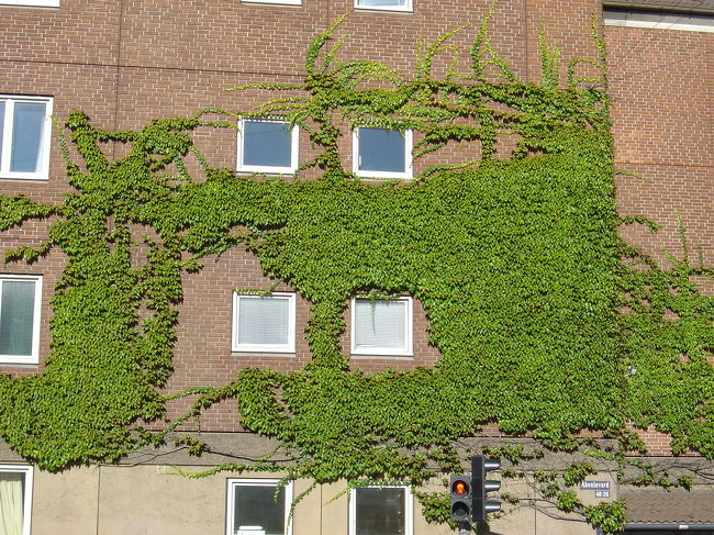 tsurukusa ni oowareta kabe.