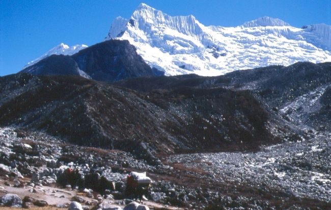 山頂からはカンレヤムゥを見る。<br />ヒマラヤならではの風景。<br />ヤクと一緒に自分の足を信じてヒマラヤの地を歩きます。