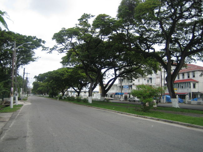 ジョージタウンのメインストリート。<br /><br />大きな木の並木道。<br /><br />この辺は静かで有名なホテルが建ち、<br />お金持ちゾーンかな。<br /><br />この先を行くと大西洋の浜にでる。