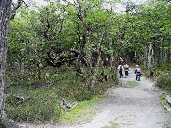 島になっている感じにところのレストランで<br />昼食後、そのまま歩いてオネリ湖へ 
