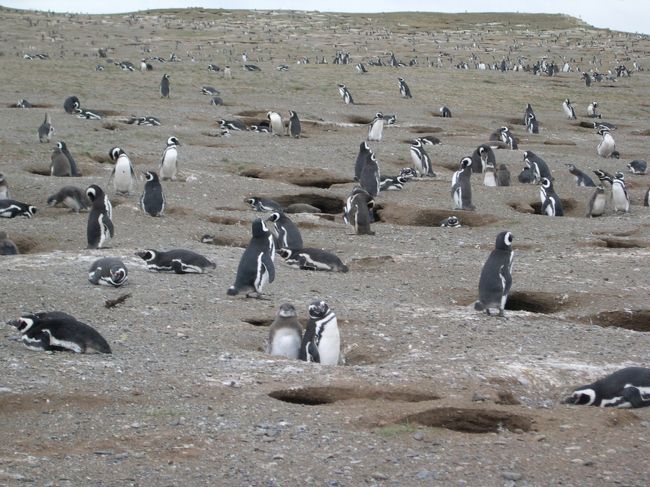 それにしても大変な数