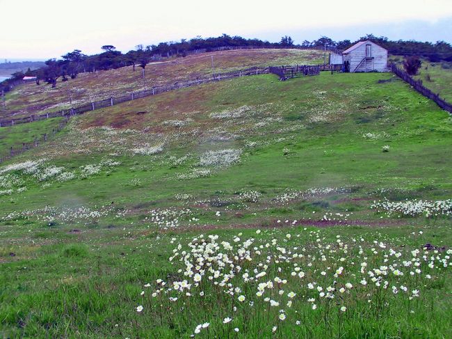 ビーグル海峡クルーズで島に寄りました<br />世界最南端の牧場