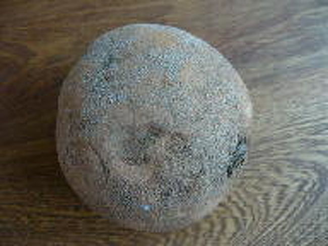 <br /><br />たとえばマメイ。