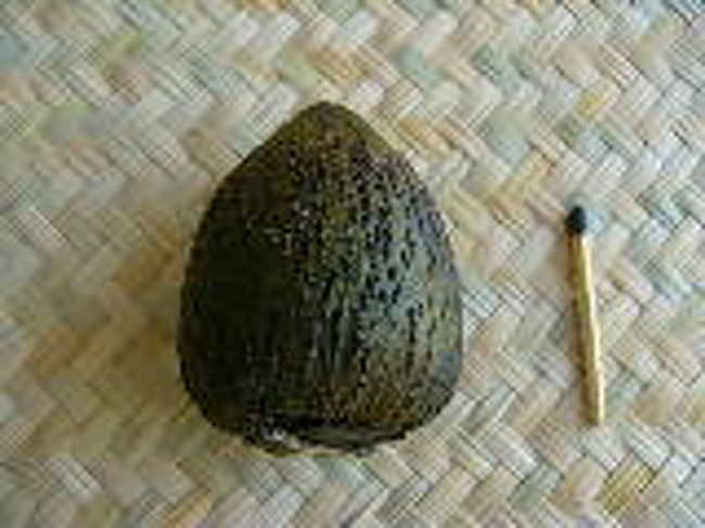 <br />これはアフリカンパーム。<br />茹でて食べる。<br />脂肪分の高いサツマイモってカンジです。