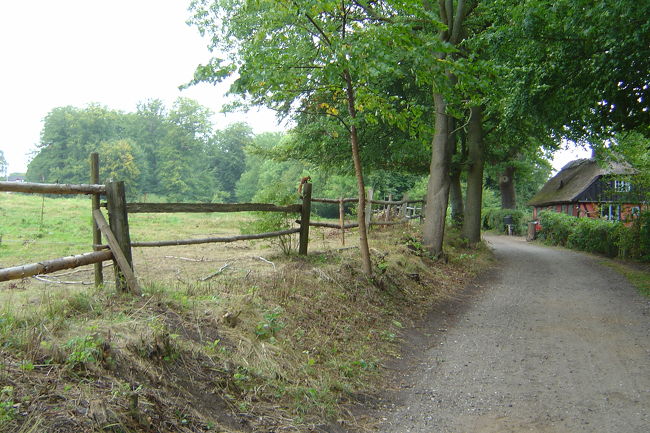 kakudai shite mite kudasai.