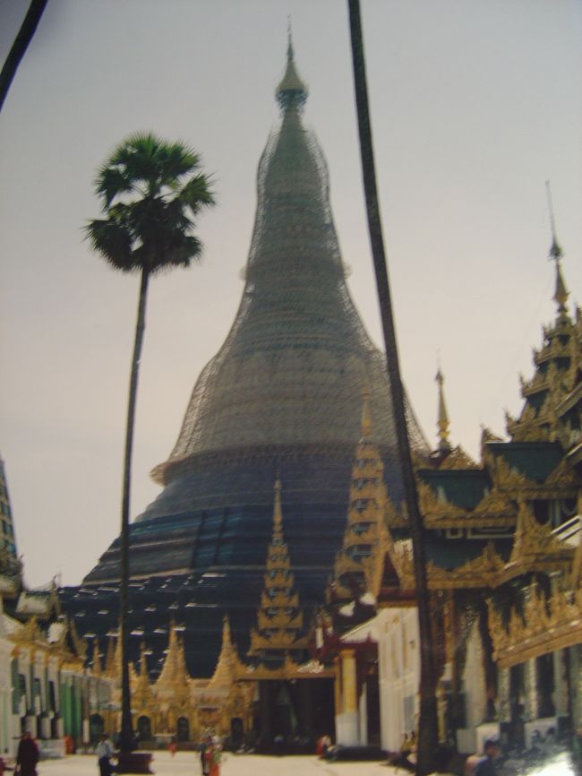 このパヤの天辺に5000個以上のダイヤ,2000個余りの宝石,黄金が飾らられて居る.