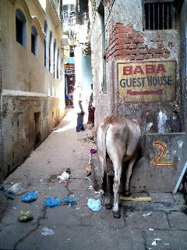 路地6<br /><br />コメントは特にいらないですね。