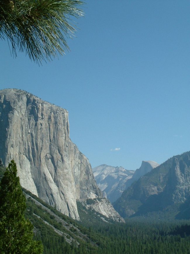 サンフランシスコ 3 Yosemite day trip』ヨセミテ国立公園周辺