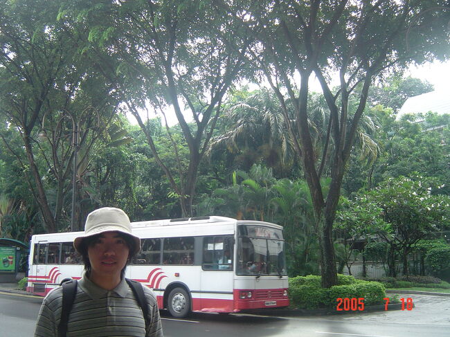 雨もあがったので、オーチャードを歩く事にしました。<br />南国！！って感じの木です。