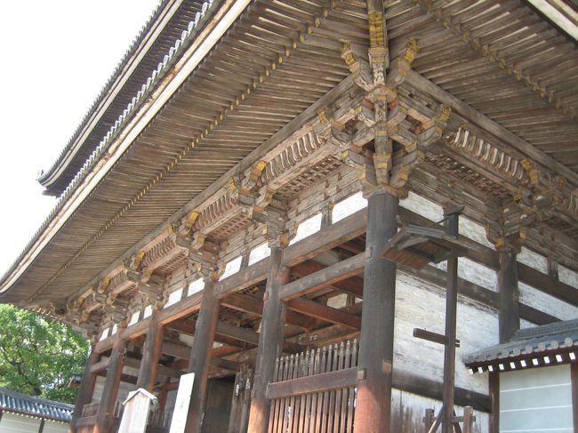 仁和寺にやってきました。