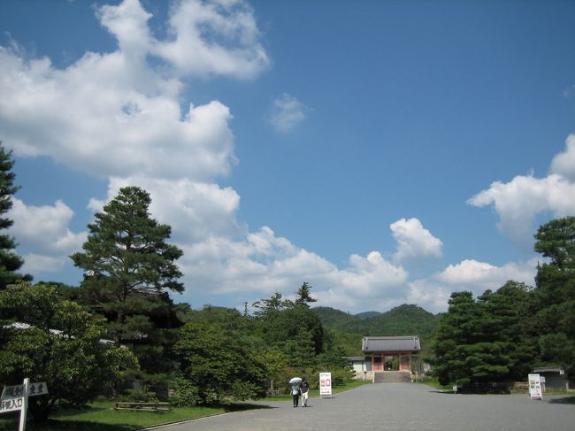 何の気なしに、ここへやってきました。しかしすぐにそれがいい選択だったとわかりました。