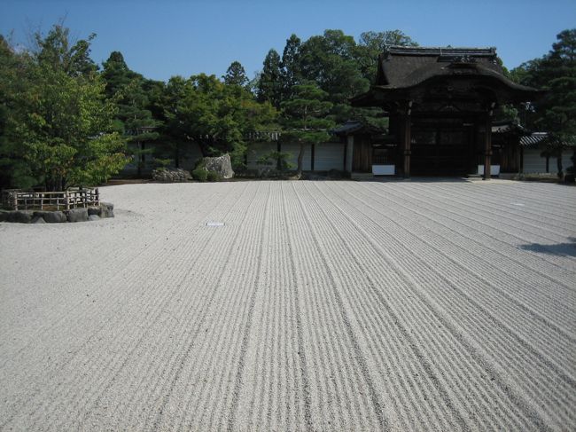 空とモノとのくっきりした境界線。ザーッという砂のこすれる激しい音が聞こえてくるような、そんな静寂。