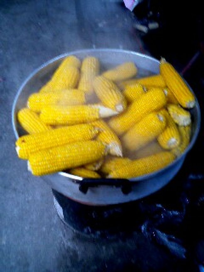 とうもろこし！日本と一緒ですね。