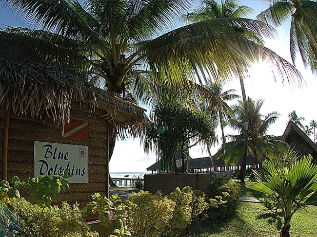 ダイビングでお世話になった『ブルードルフィン』です。ホテル内にあり大変便利です。１日３本潜れましが、なんと言ってもデプタパスを流すダイビングがエキサイトします。