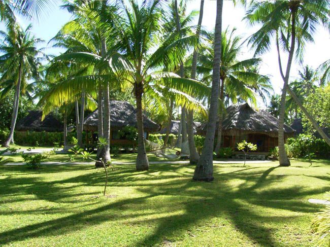 コテージの間のスペースには、ハンモッグもありお昼寝には最高です。但し、日が差してくるとオチオチと転寝していれません。