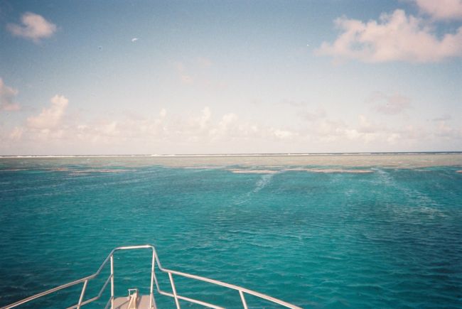 【水面休息中】