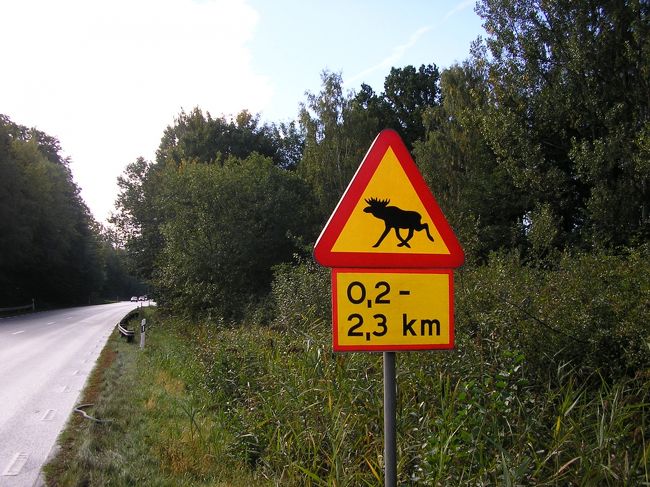 Brekingeと Smalandの境ですので、ヘラジカも多く生息しているようです。